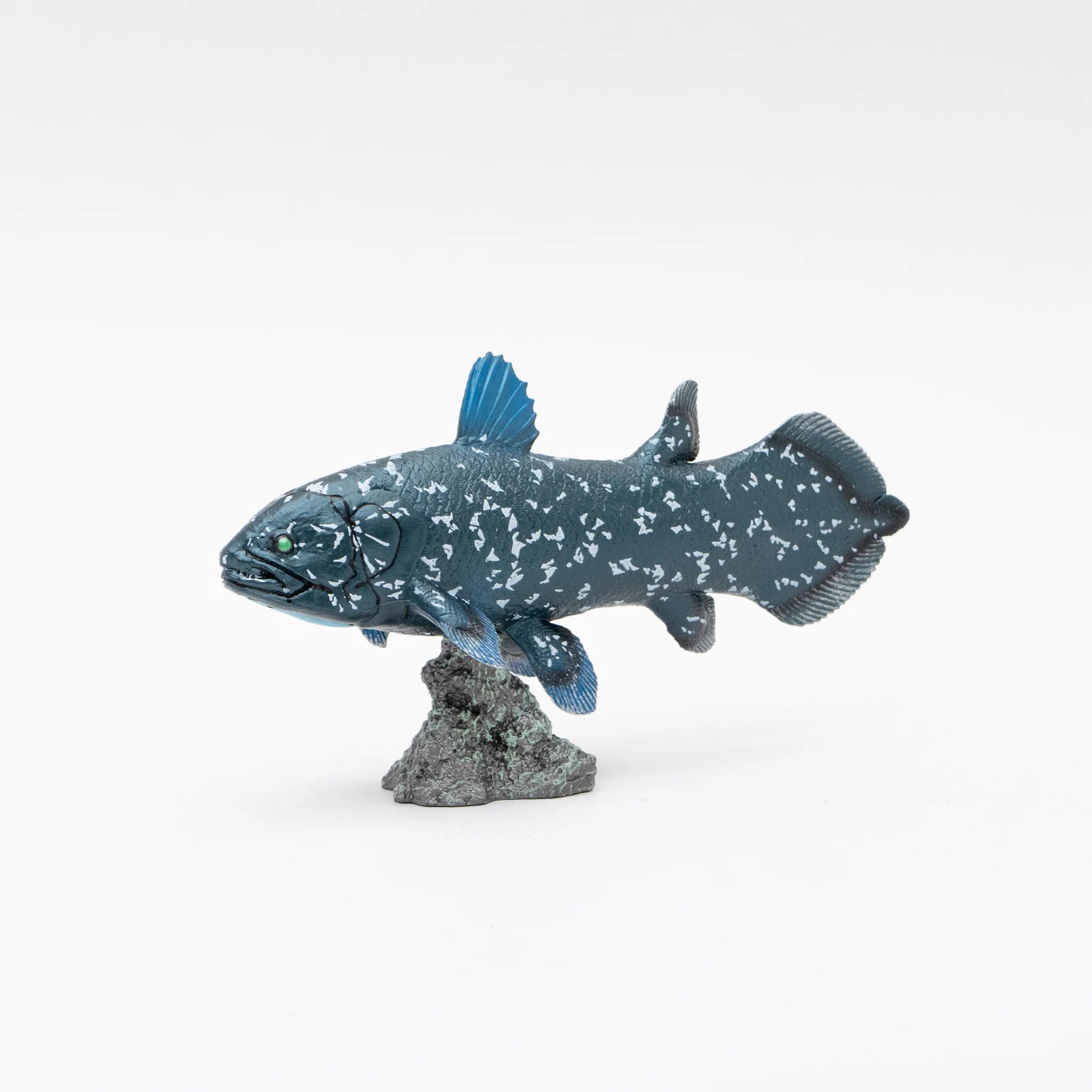 Soft Model Coelacanth