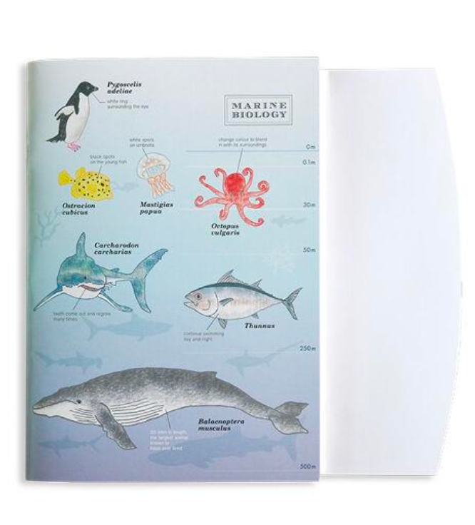 A5 Grid Notebook Marine Biology