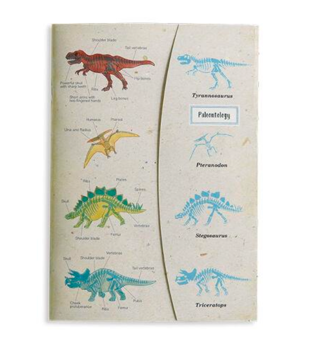 A5 Grid Notebook Paleontology