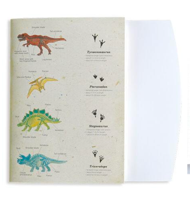 A5 Grid Notebook Paleontology