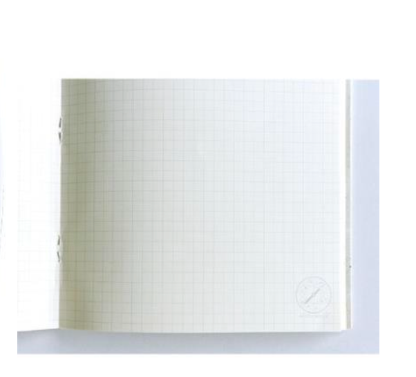 A5 Grid Notebook Paleontology