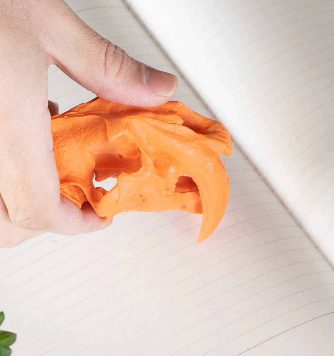 Skull-shaped Eraser Smilodon Orange