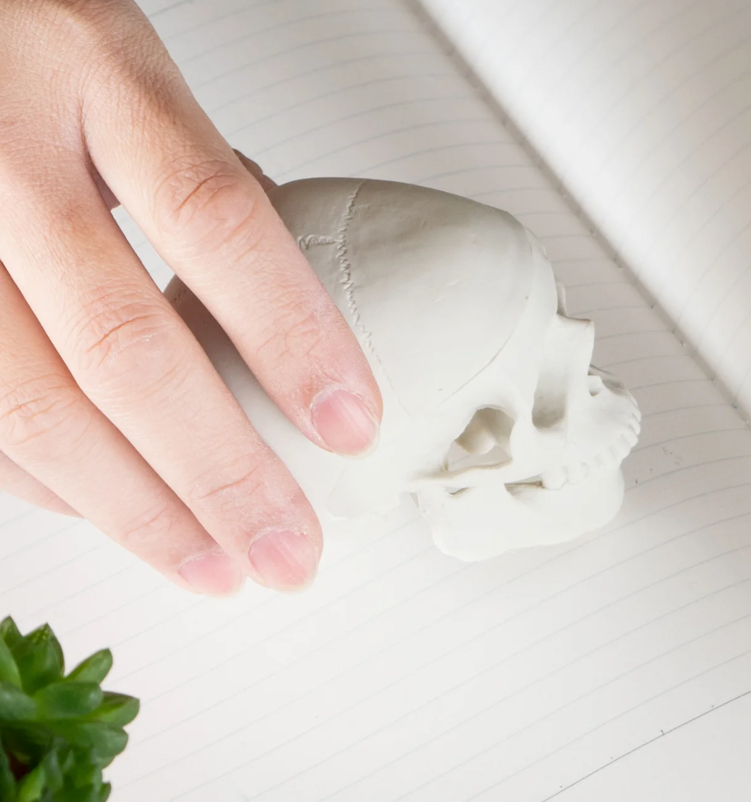 Skull-shaped Eraser Human White