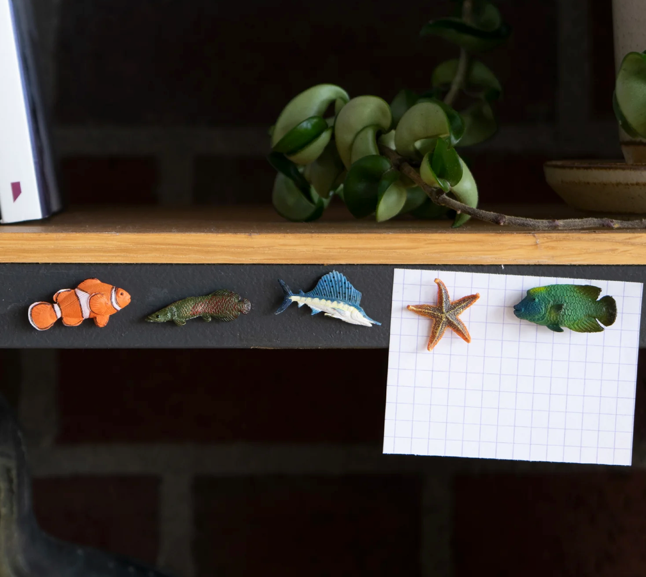 Magnet Fish Set B